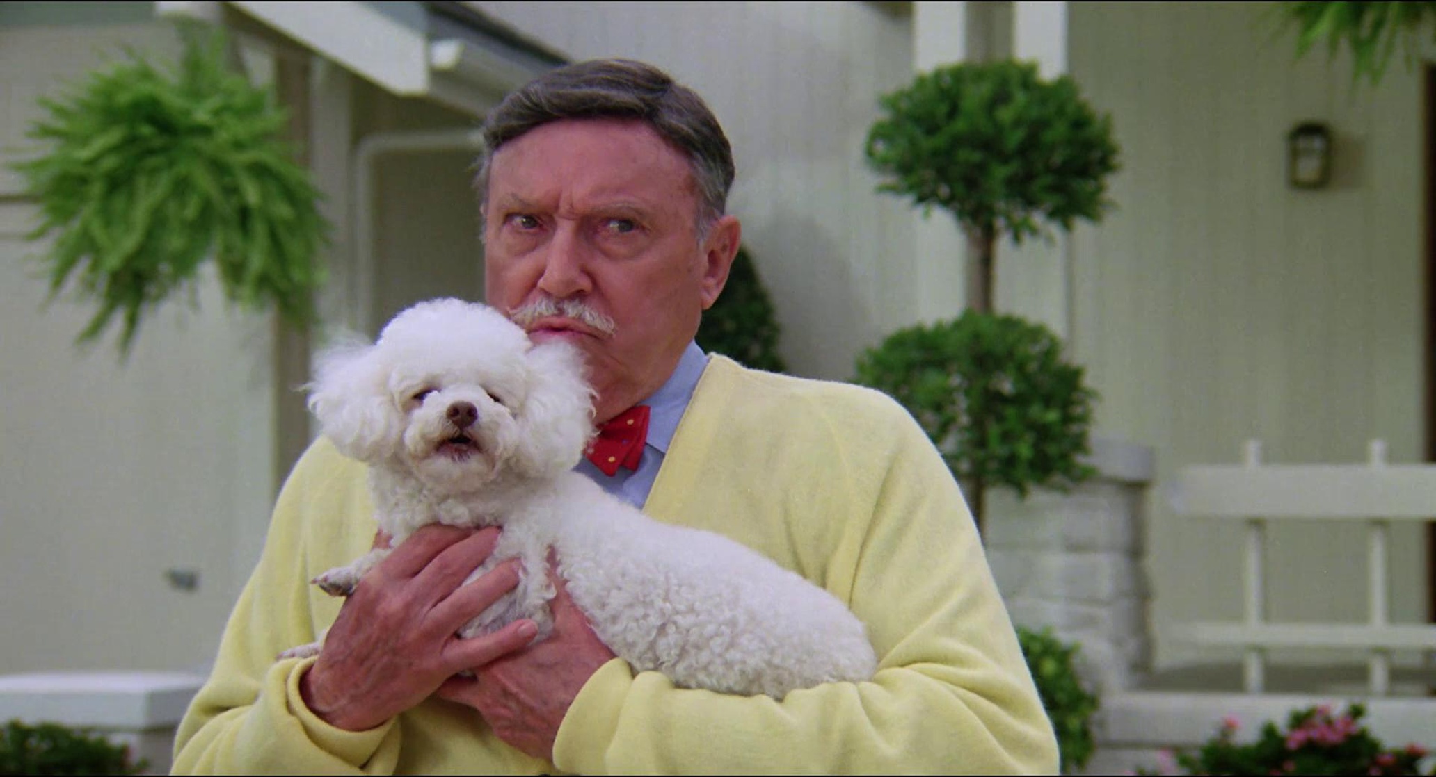 The Burbs The Burbs
