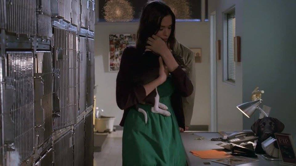 Odette Annable