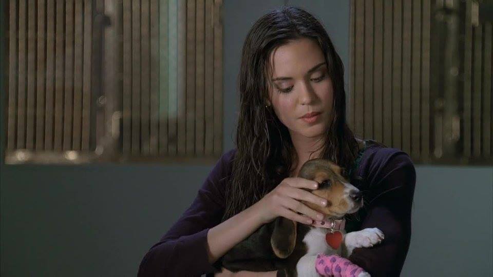 Odette Annable