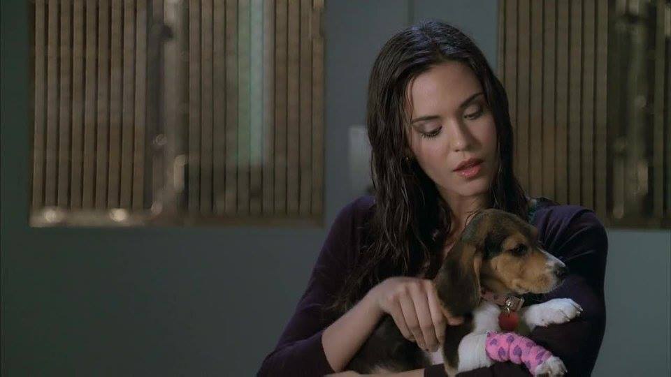 Odette Annable