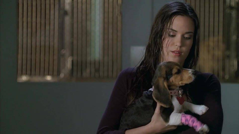 Odette Annable