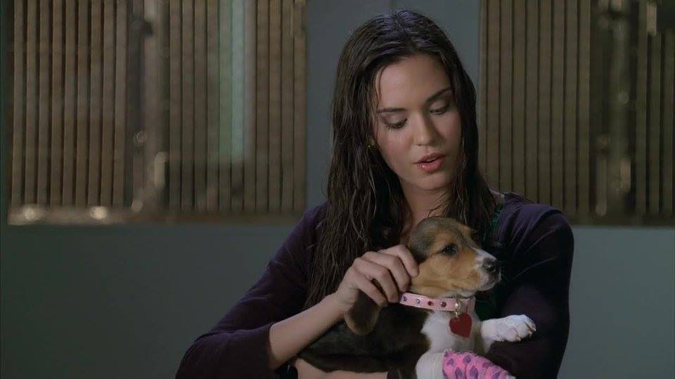 Odette Annable