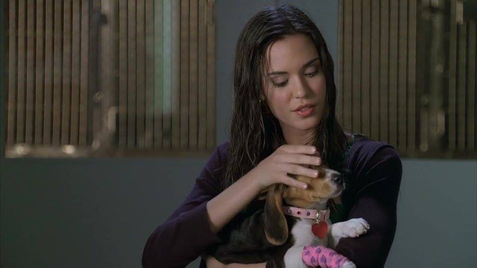 Odette Annable