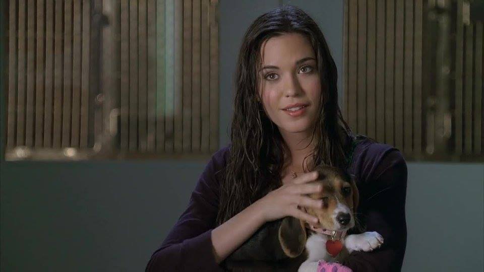 Odette Annable