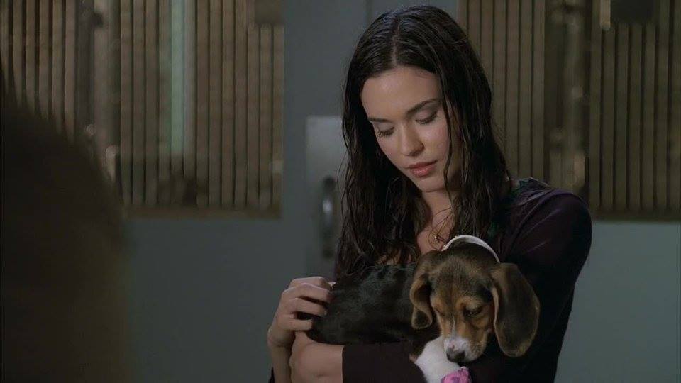 Odette Annable