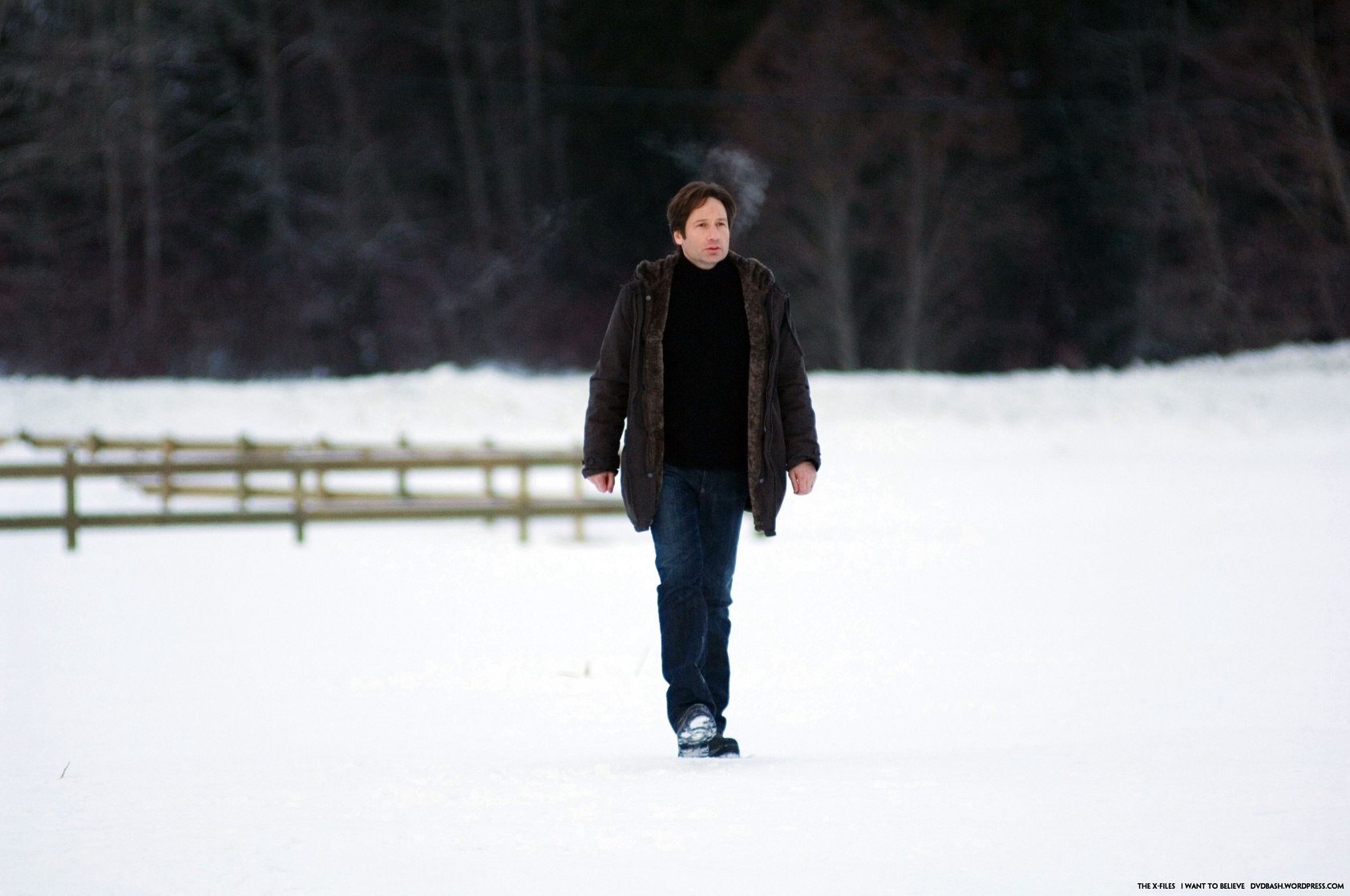 The X Files: I Want to Believe