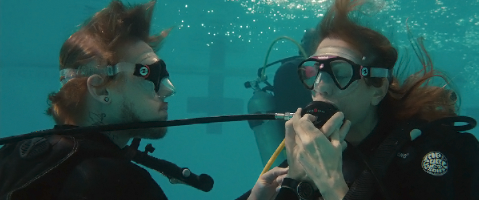 The Skeleton Twins The Skeleton Twins