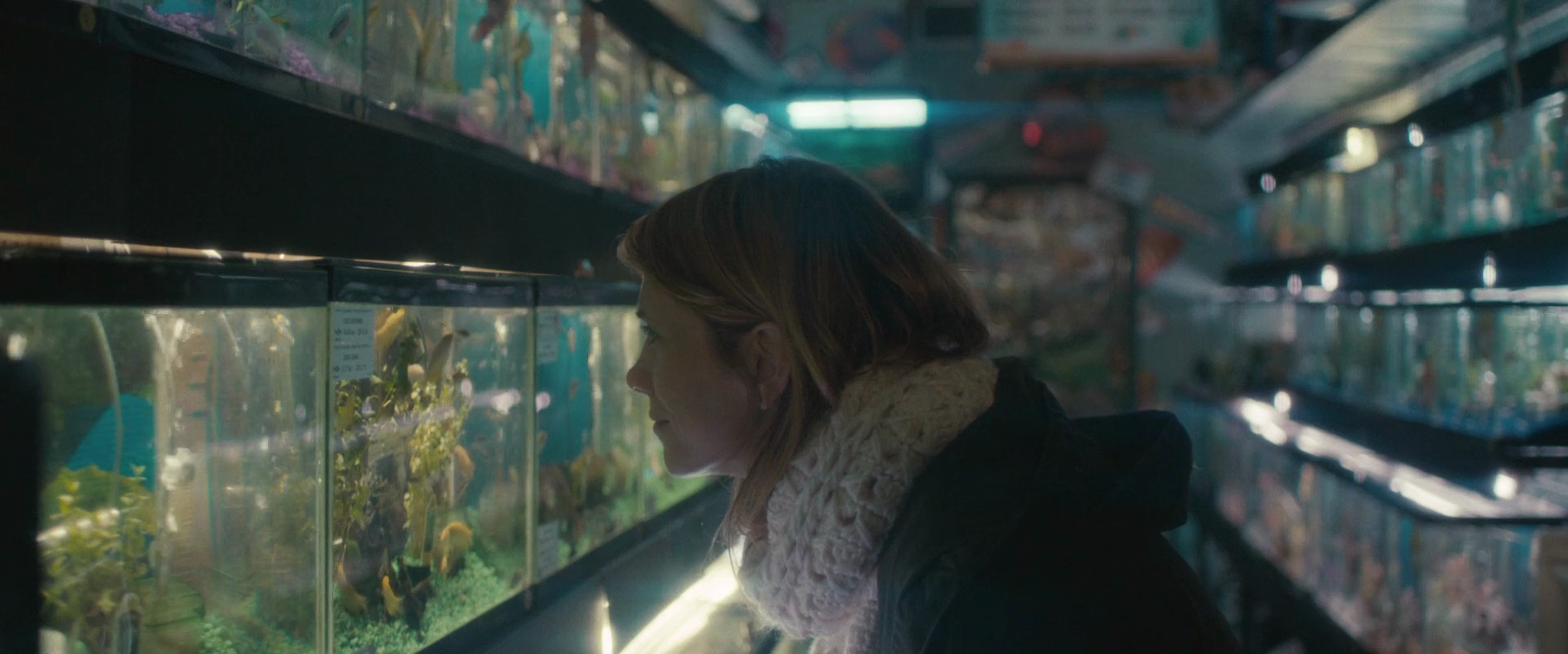 The Skeleton Twins The Skeleton Twins