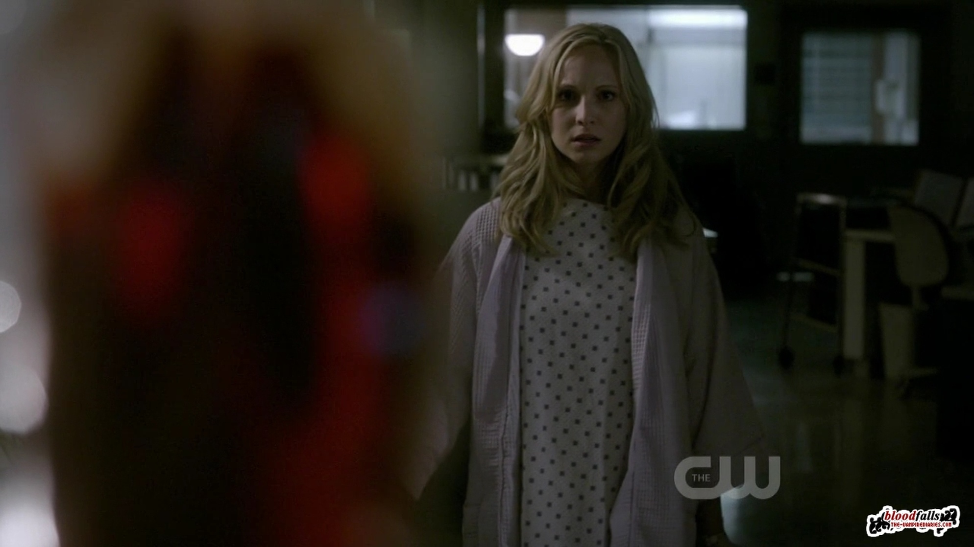 The Vampire Diaries