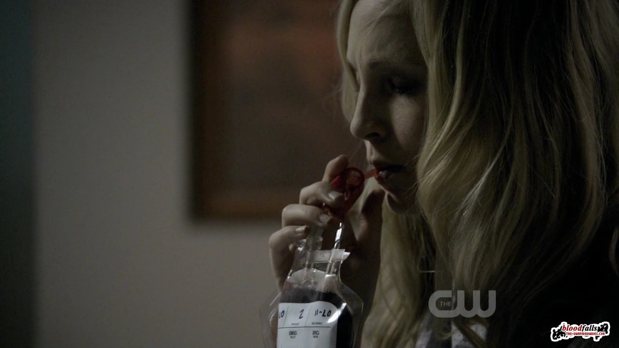 The Vampire Diaries