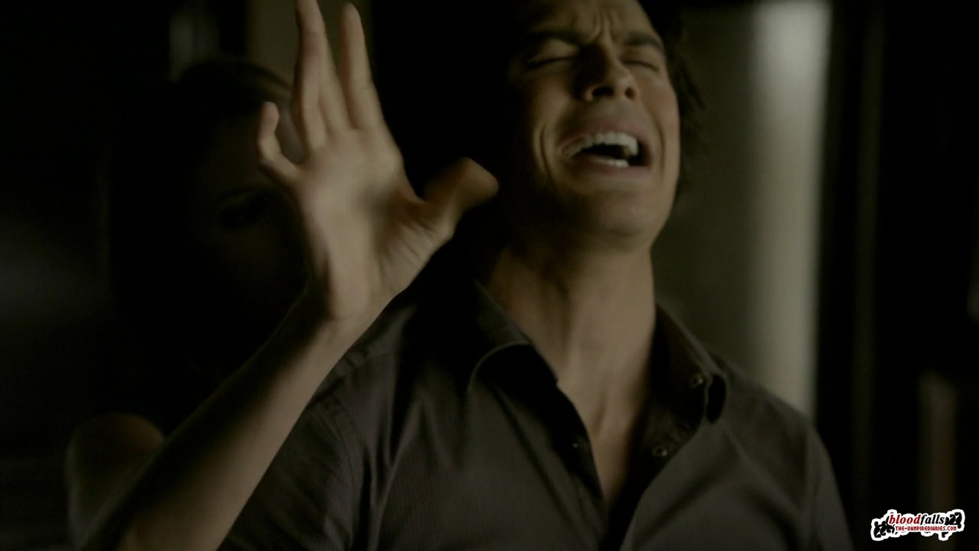 The Vampire Diaries