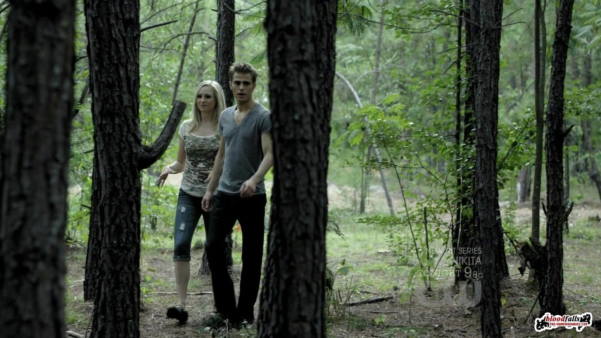 The Vampire Diaries