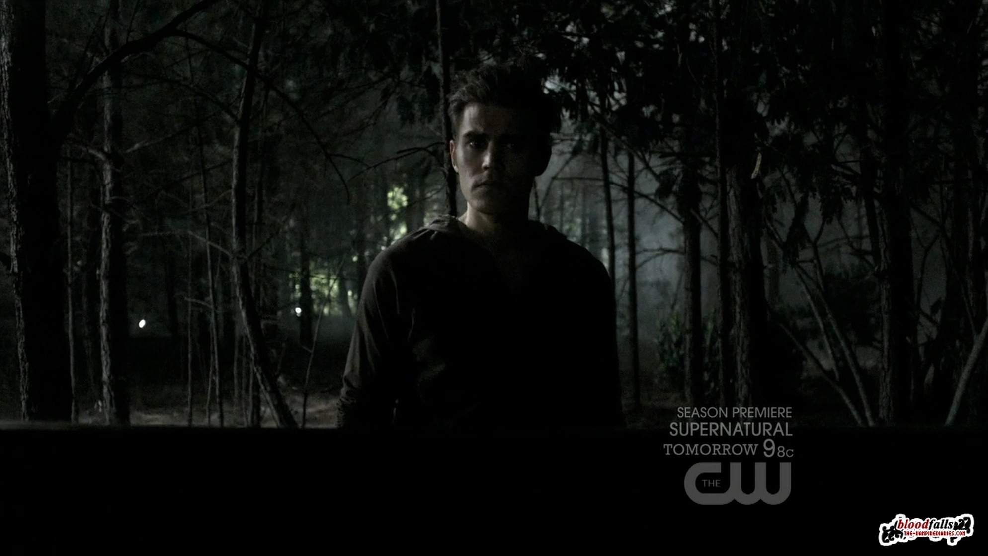 The Vampire Diaries
