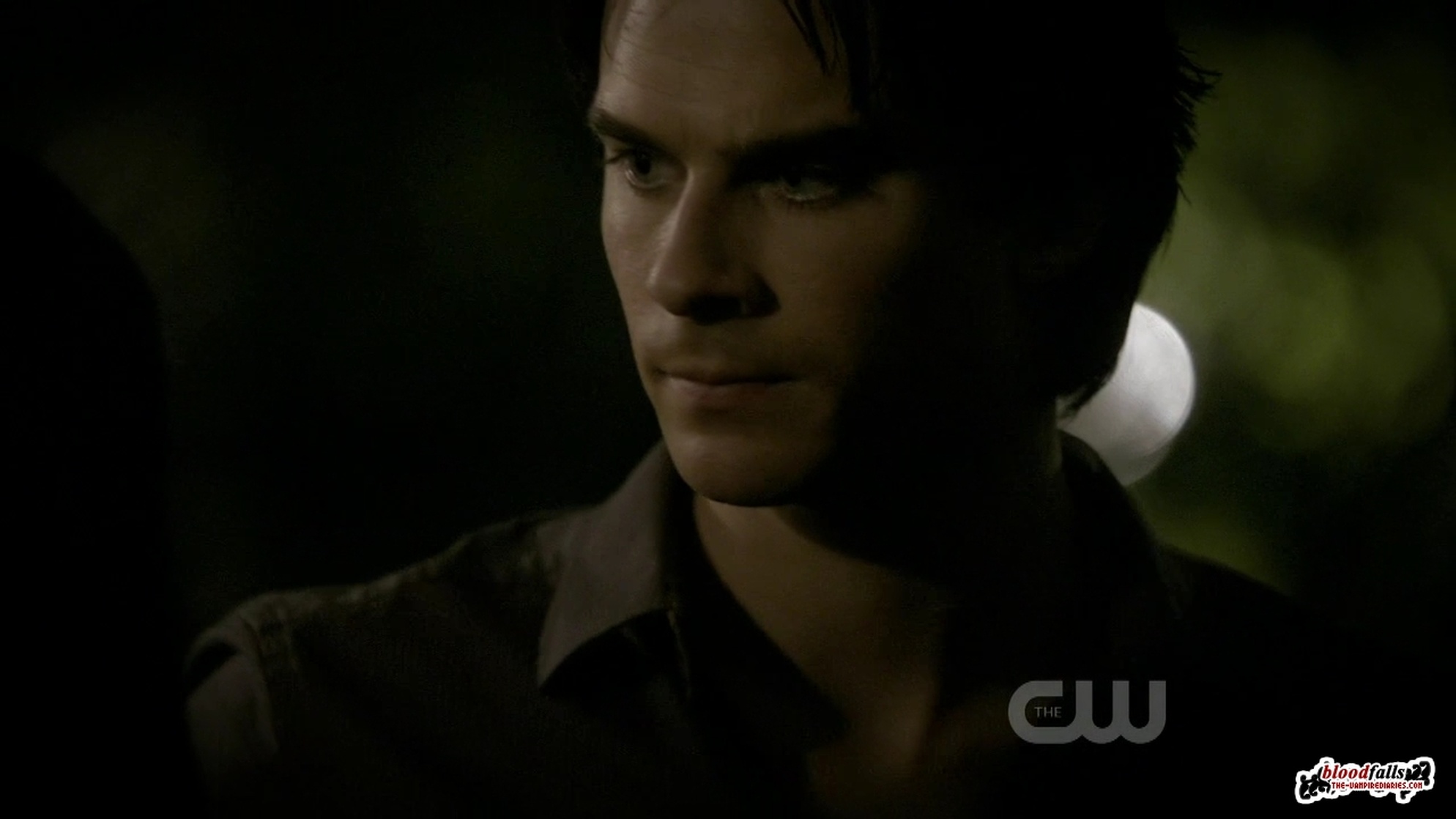 The Vampire Diaries