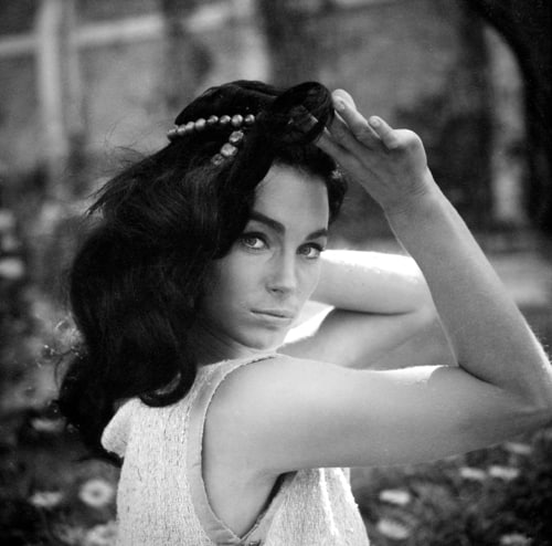 Image of Shirley Anne Field