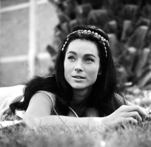 Picture of Shirley Anne Field