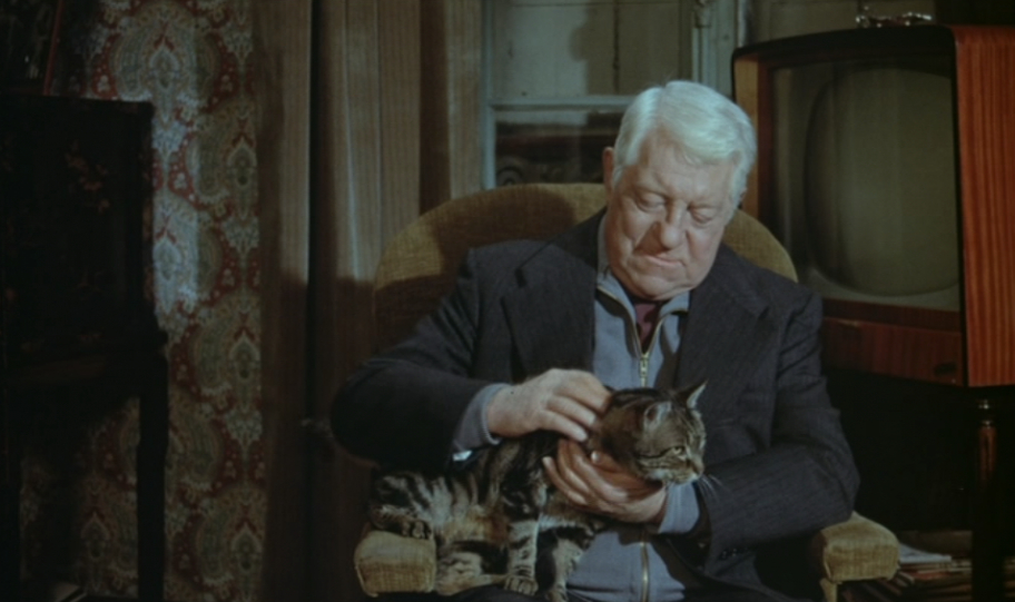 Le Chat Le Chat