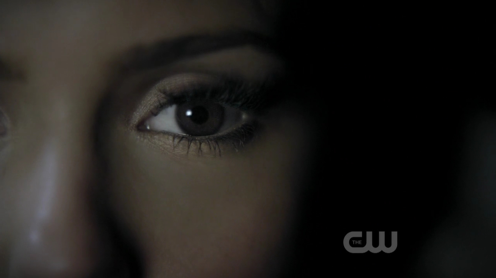 The Vampire Diaries