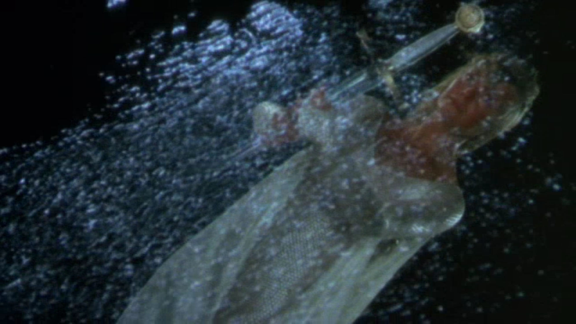Excalibur