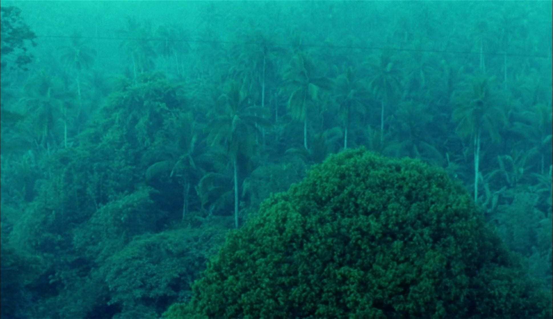 Days of Being Wild (1990)