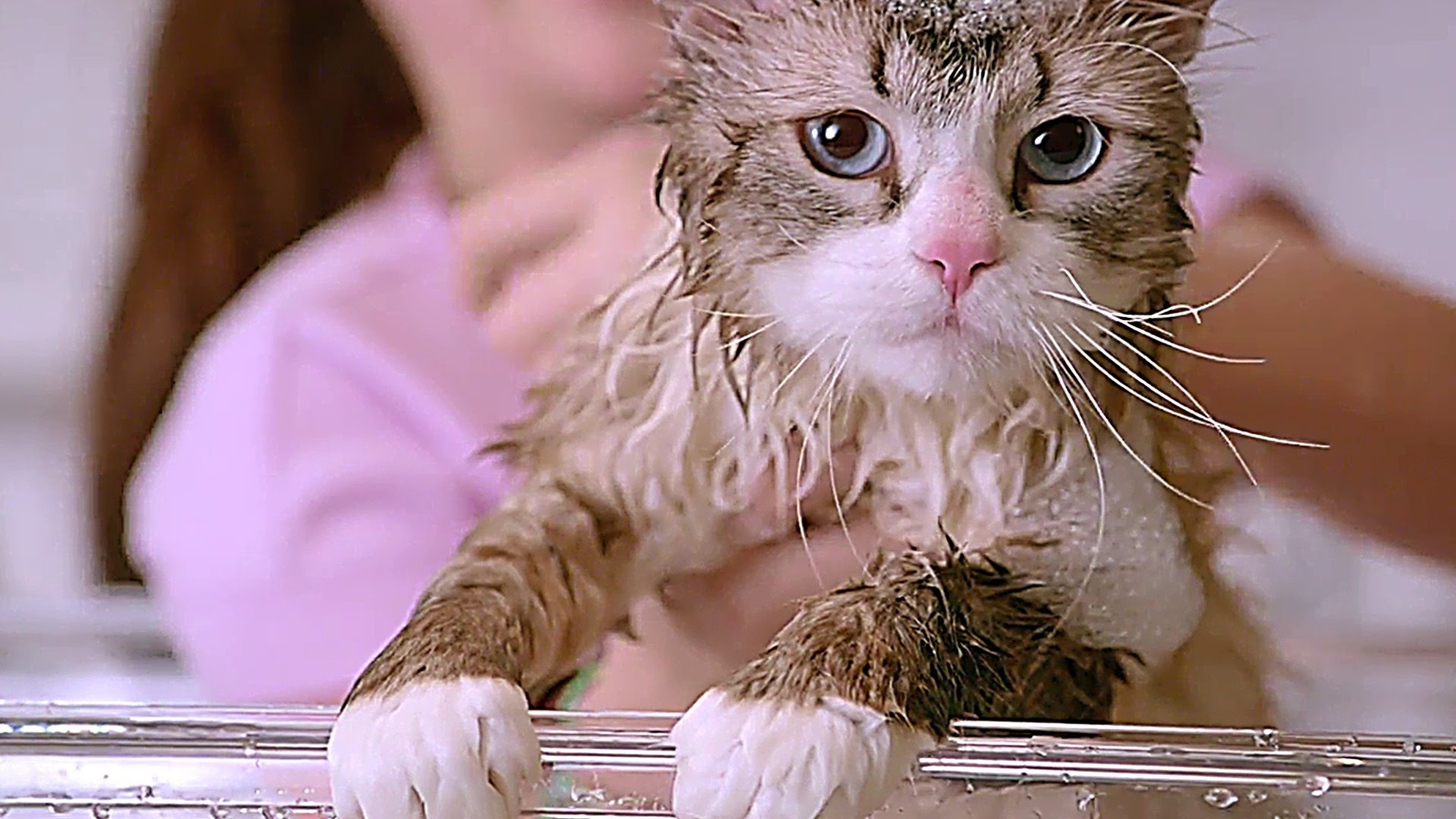 Nine Lives