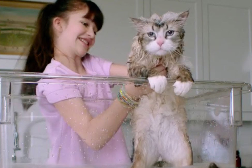 Nine Lives