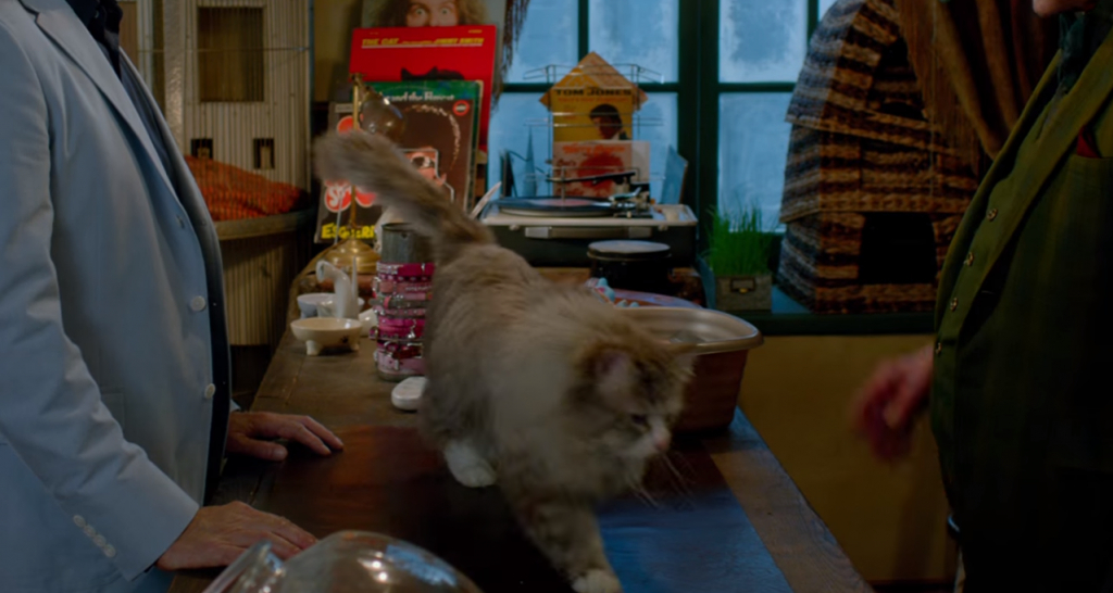 Nine Lives