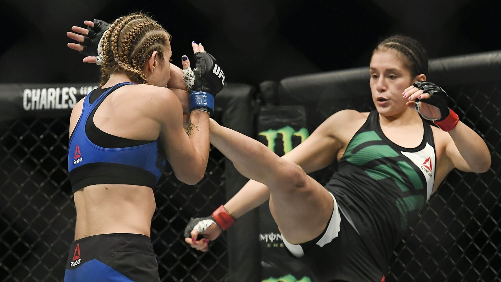 Alexa Grasso