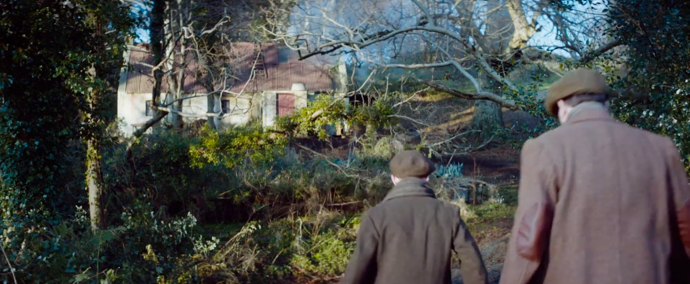 The Secret Scripture                                  (2016)