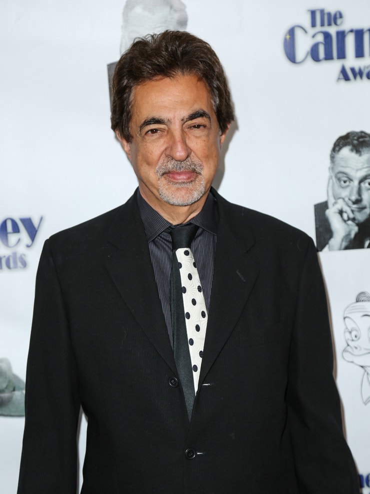 Image of Joe Mantegna