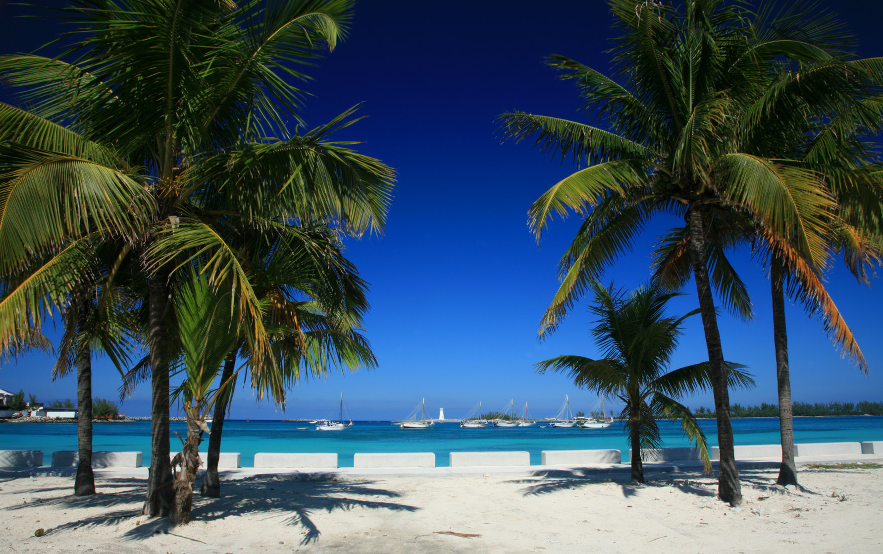 The Bahamas