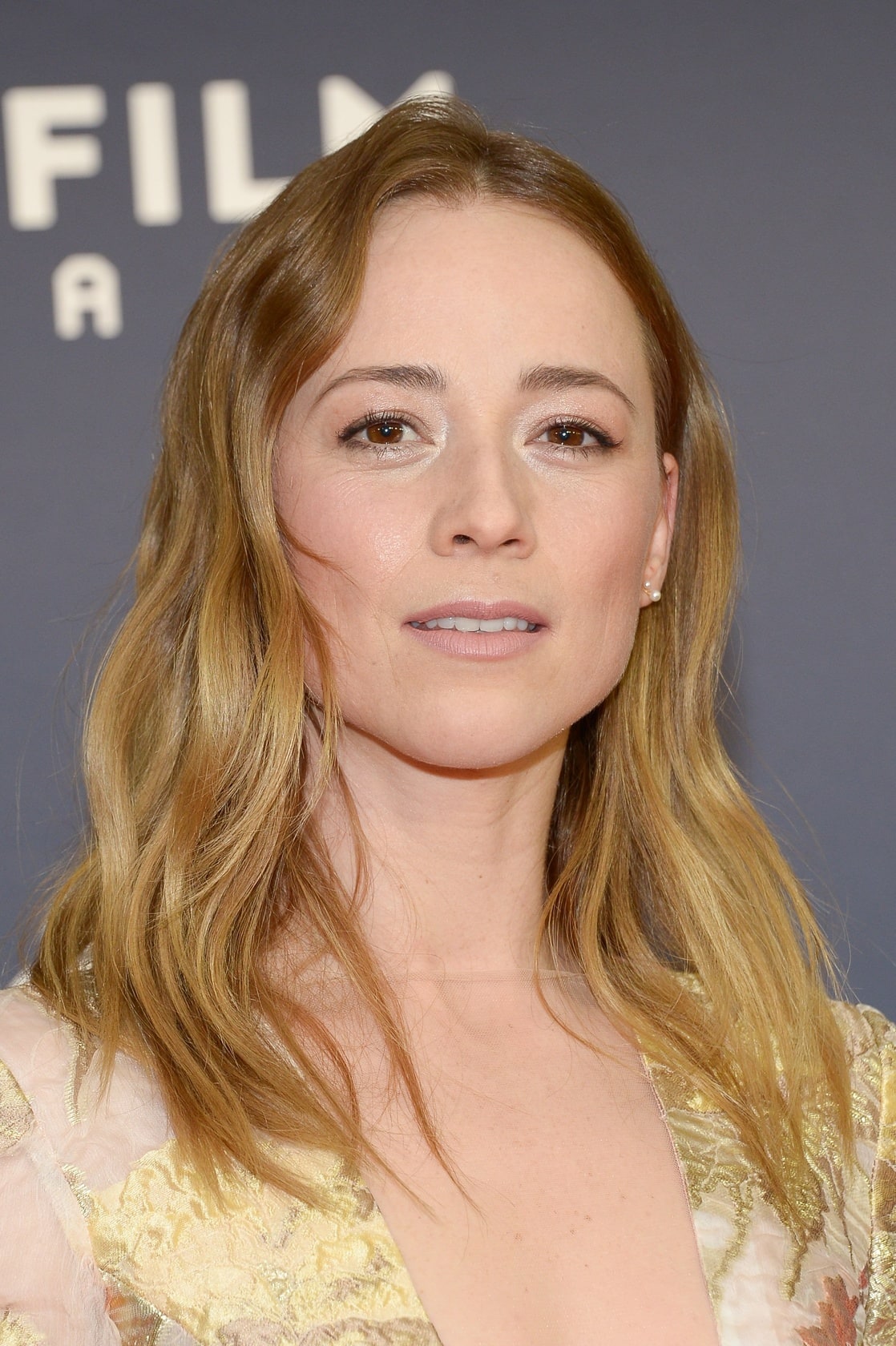 Picture Of Karine Vanasse 