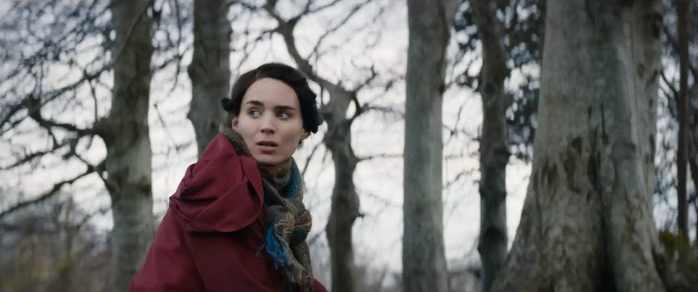 Picture of The Secret Scripture (2016)