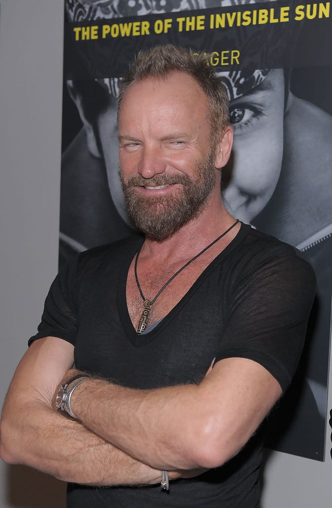 Picture of Sting