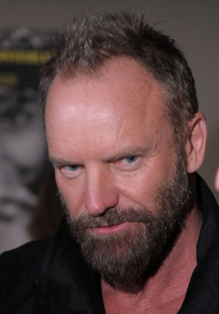 Picture of Sting