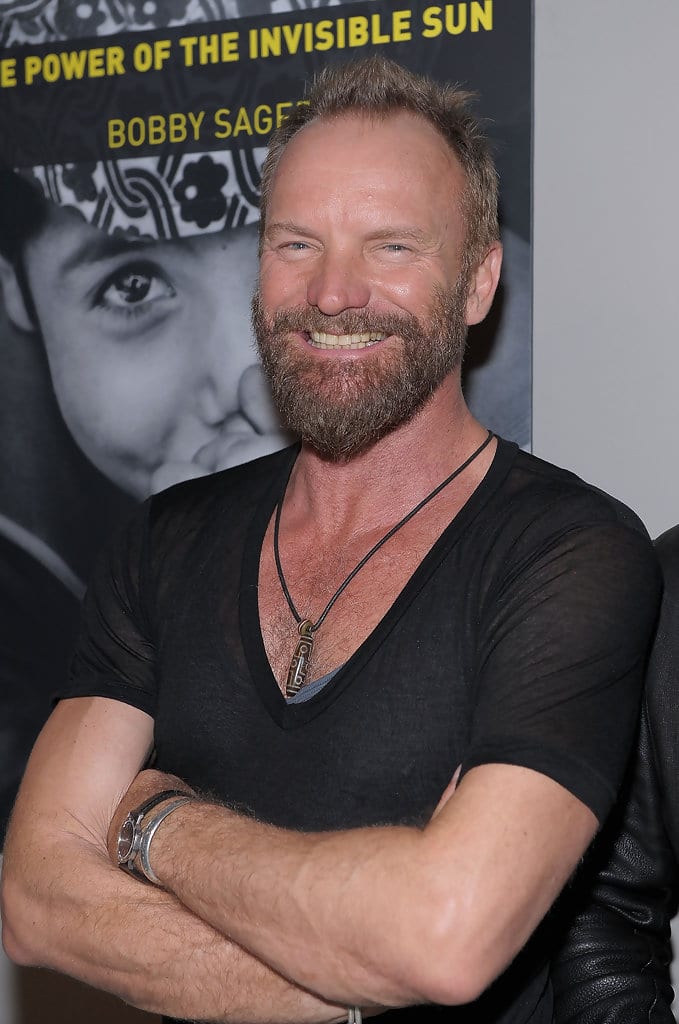 Picture of Sting