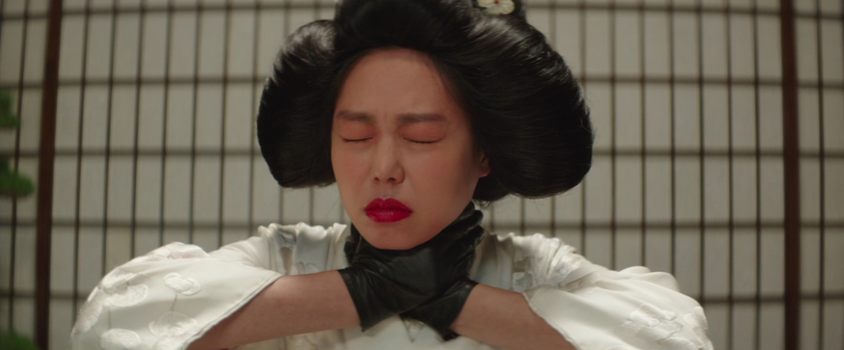 The Handmaiden