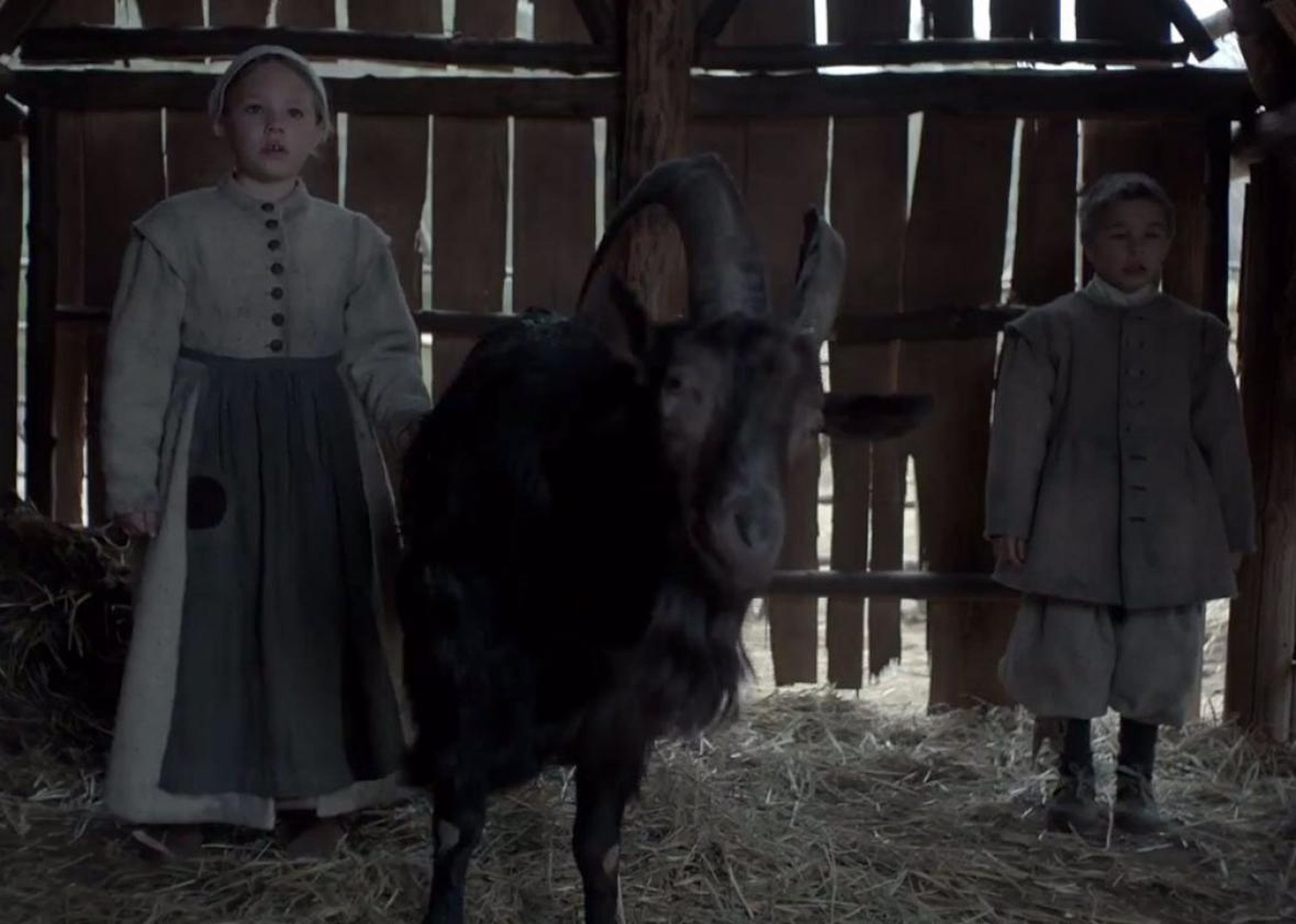 The Witch The Witch