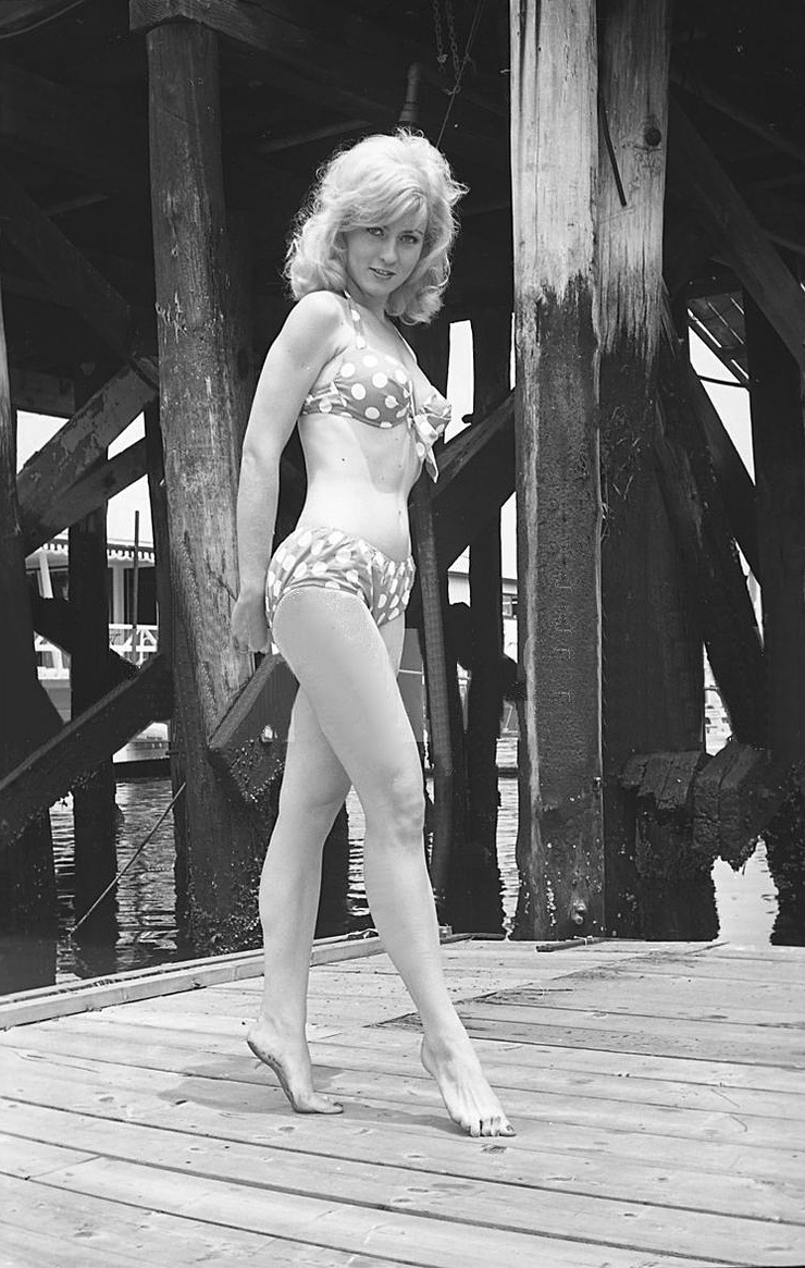 Picture of Lee Meredith