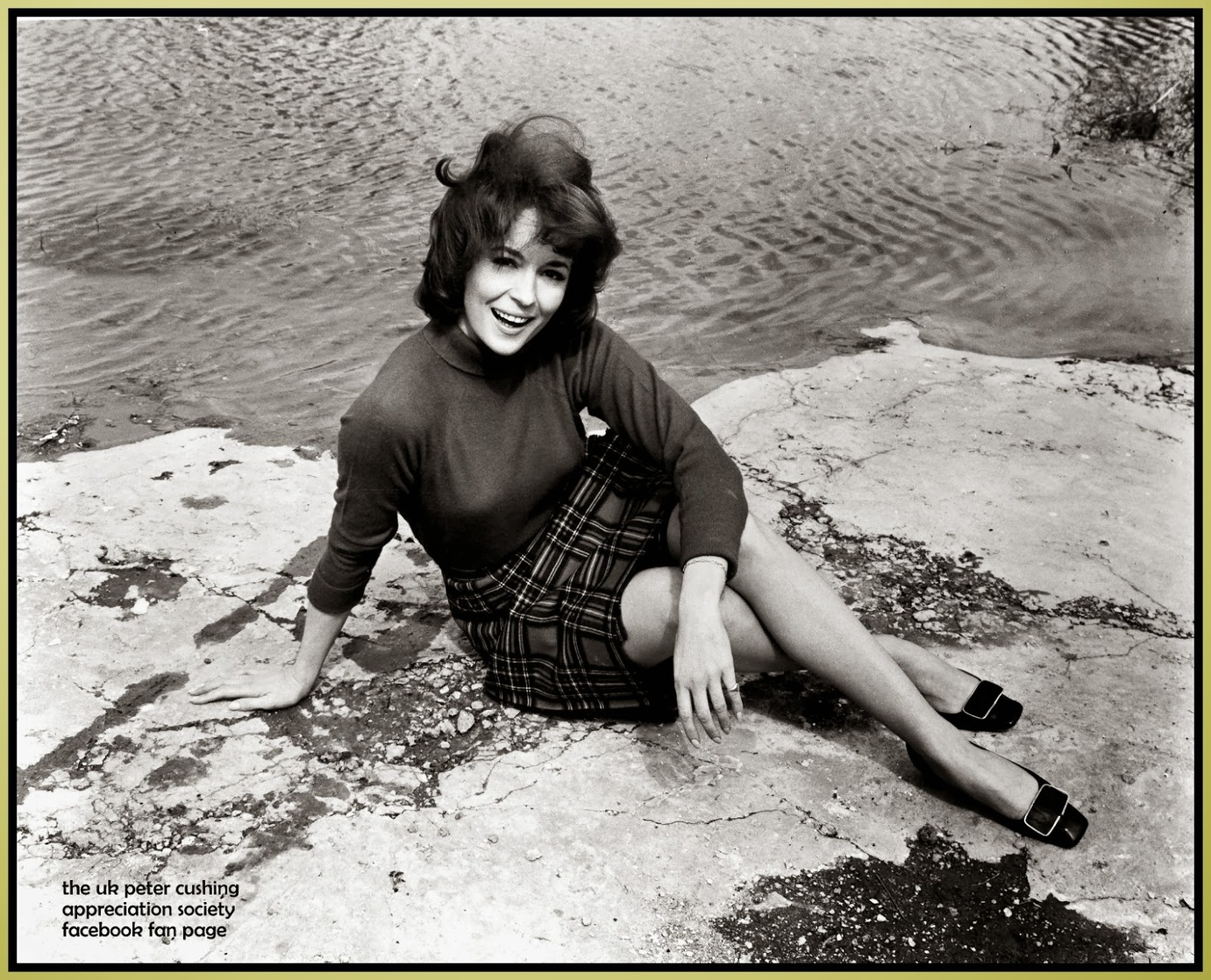 Barbara Shelley Barbara Shelley