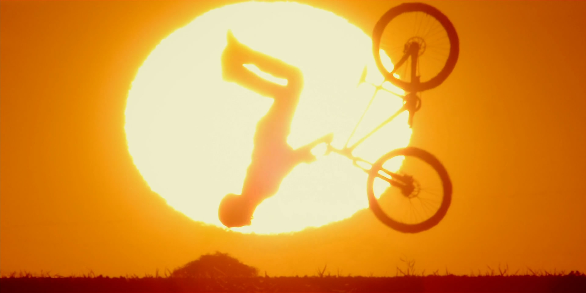 Life Cycles Life Cycles