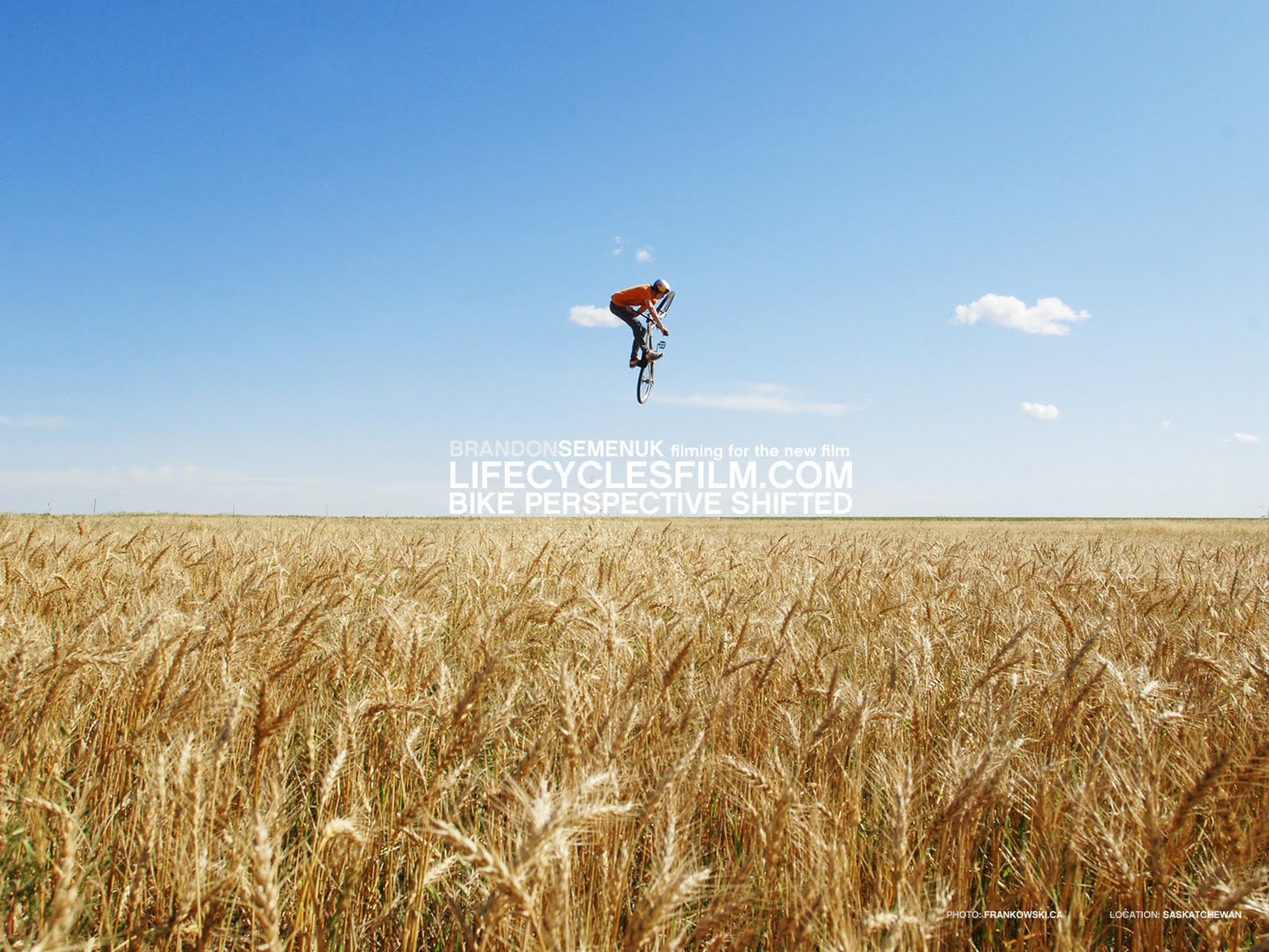 Life Cycles Life Cycles