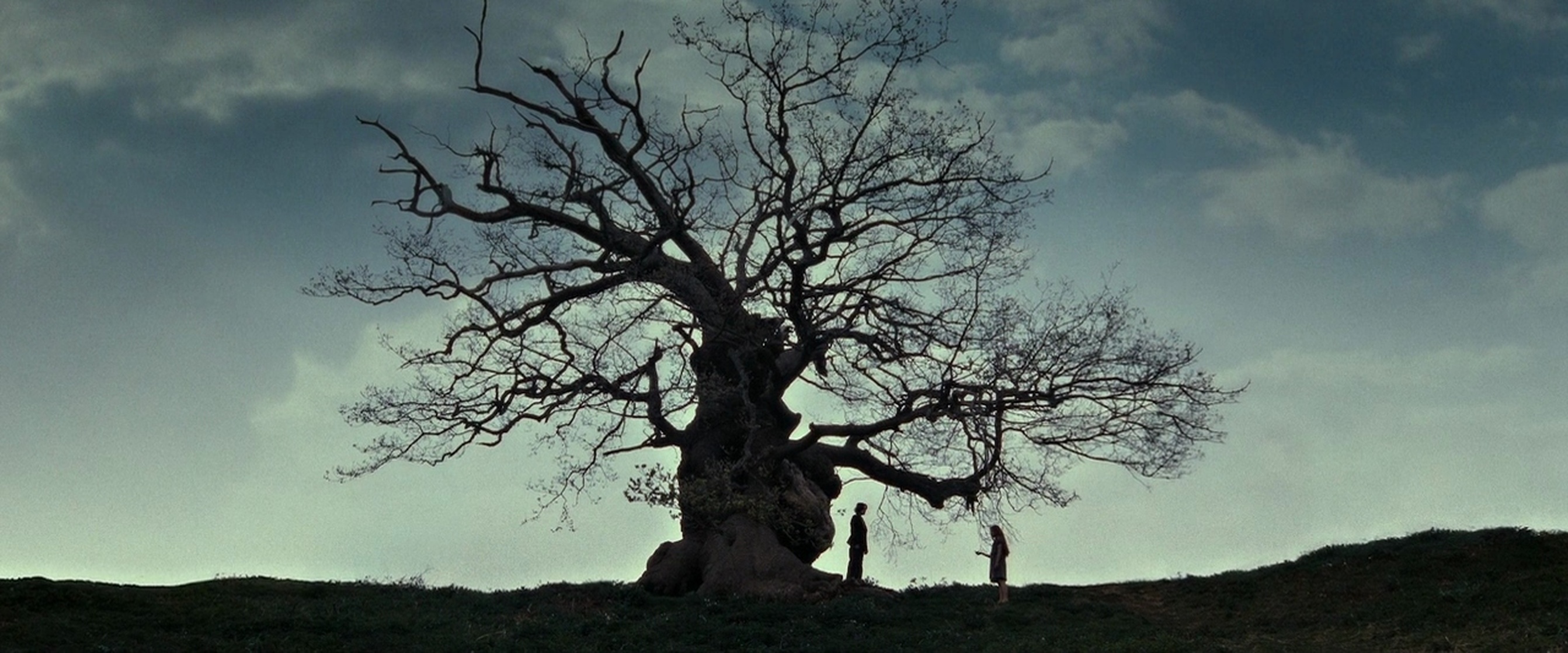 Harry Potter and the Deathly Hallows: Part 2