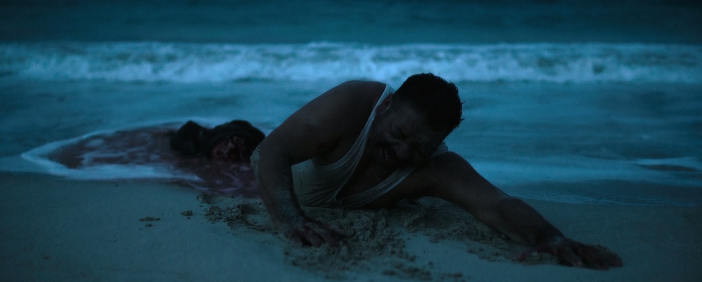 The Shallows The Shallows