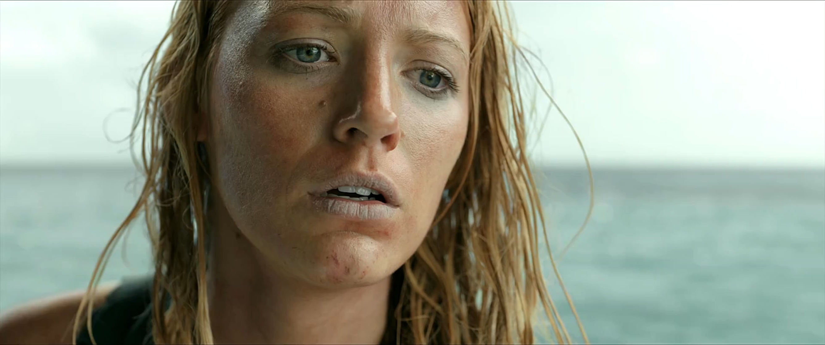 The Shallows