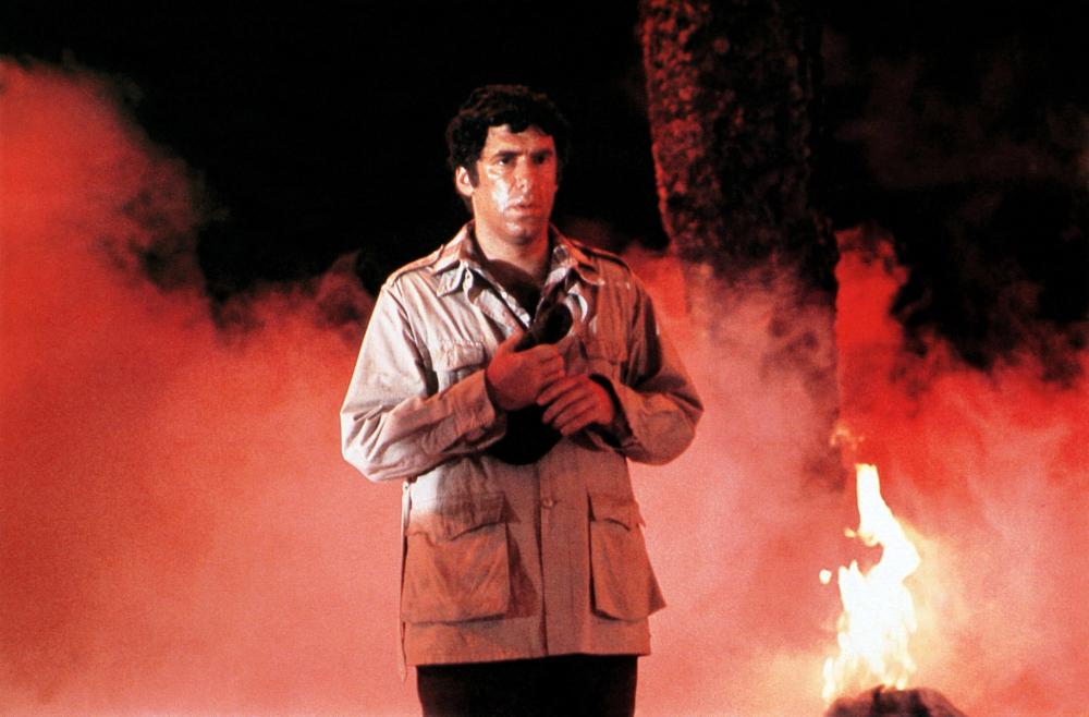 Elliott Gould Elliott Gould