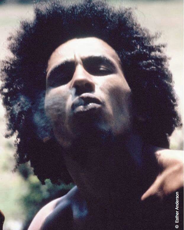 Bob Marley image