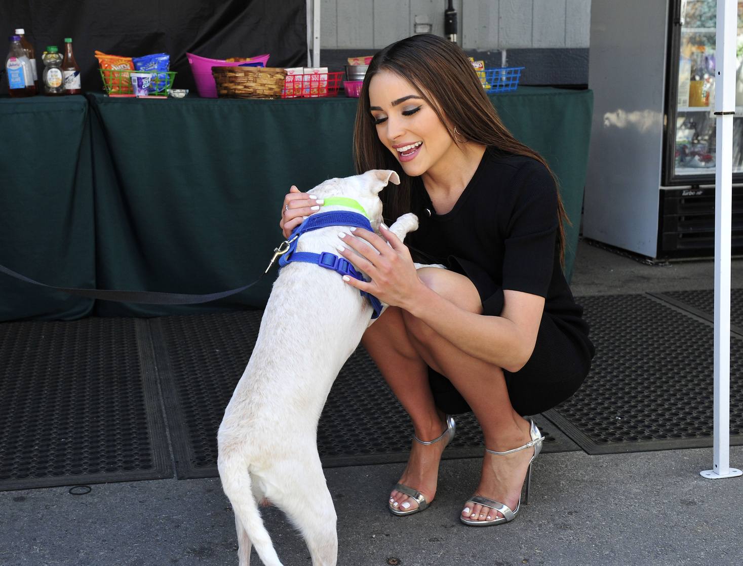 Olivia Culpo Olivia Culpo