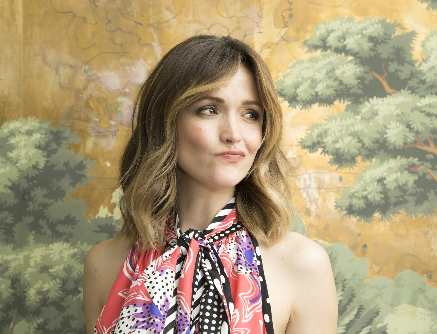 Rose Byrne Rose Byrne