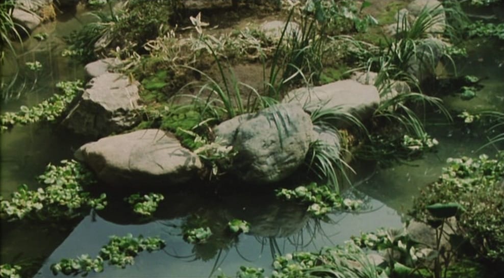 Mâdadayo (1993)